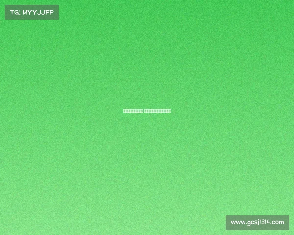 德甲赛季精彩回顾 聚焦球迷热情与精彩瞬间